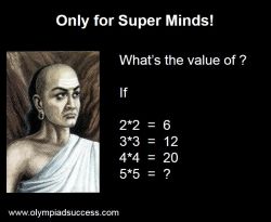 Super Minds Puzzle 19